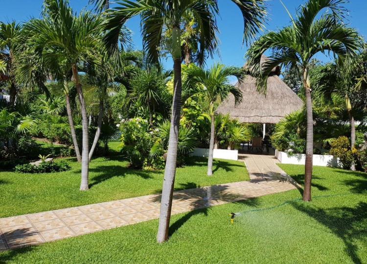 Large House - Walking To Beach - 10 Guests! Cancún Eksteriør bilde